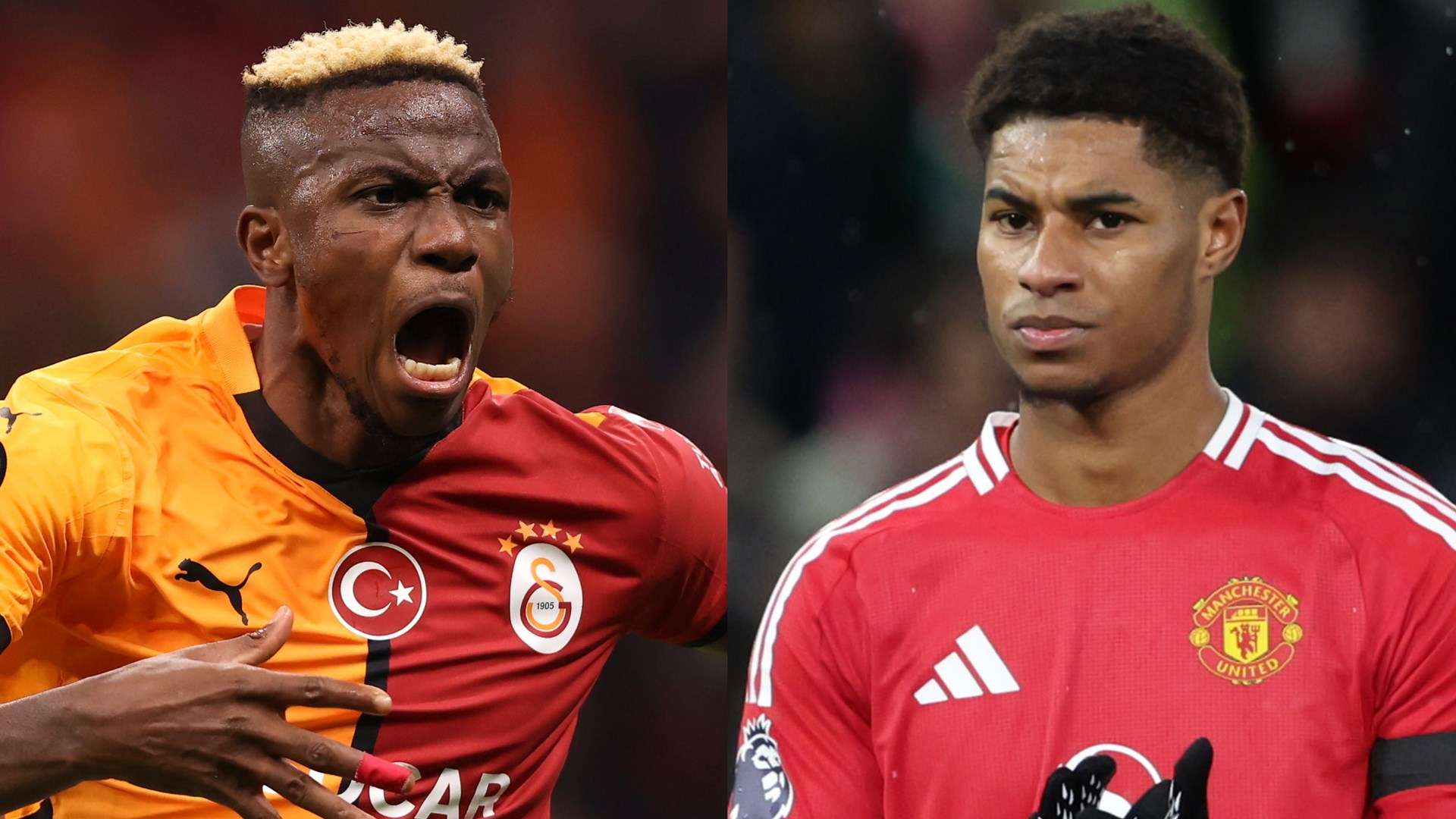 经济因素和 经济因素和