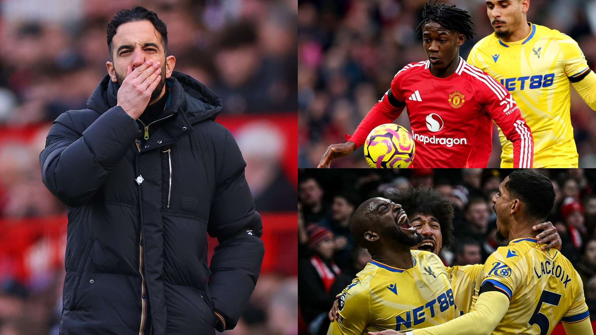 球培训带来 球培训带来