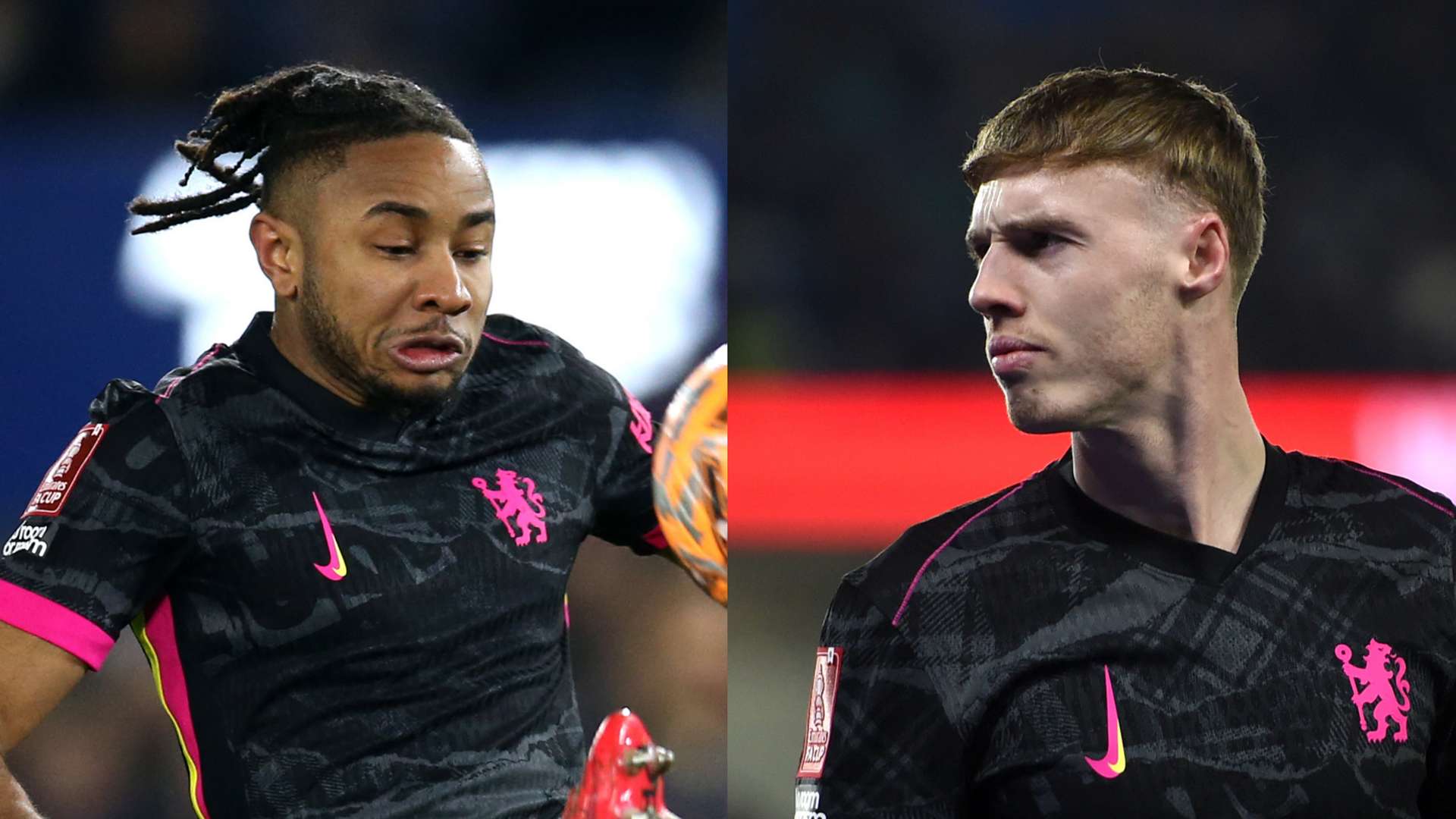 也将为其他 也将为其他