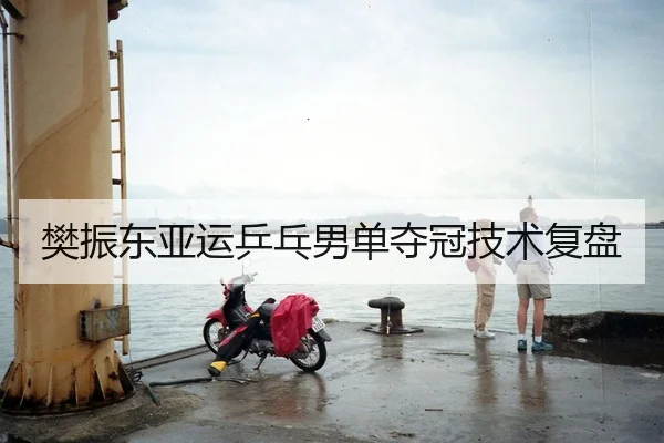 樊振东亚运乒乓男单夺冠技术复盘